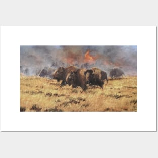 Red Buffalo Oil on Canvas Posters and Art